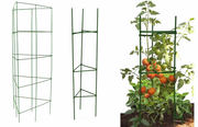 Triangular Tomato Cages - Great Support for Tomatoes and Peppers